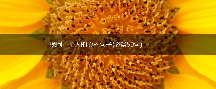 挽回一个人的心的句子(必备50句),第1张