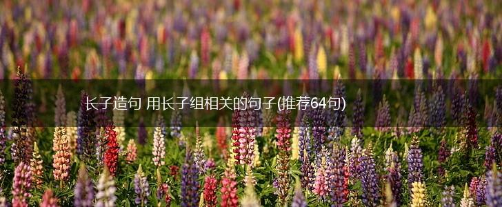 长子造句 用长子组相关的句子(推荐64句),第1张