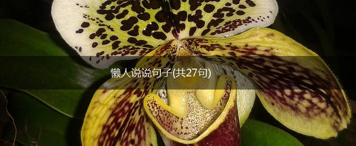 懒人说说句子(共27句),第1张