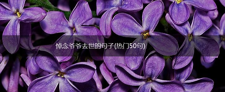 悼念爷爷去世的句子(热门50句),第1张