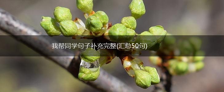 我帮同学句子补充完整(汇总50句),第1张