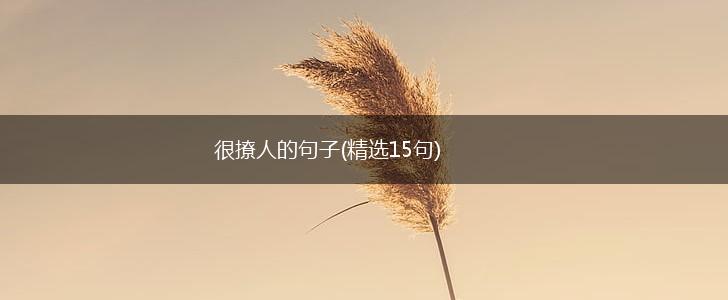 很撩人的句子(精选15句),第1张
