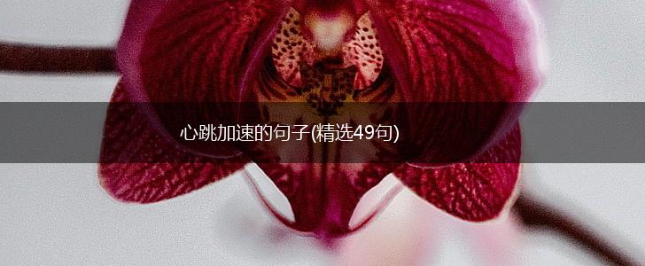 心跳加速的句子(精选49句),第1张