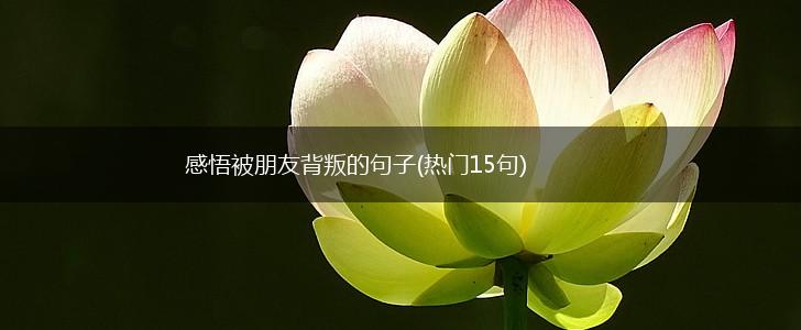 感悟被朋友背叛的句子(热门15句),第1张