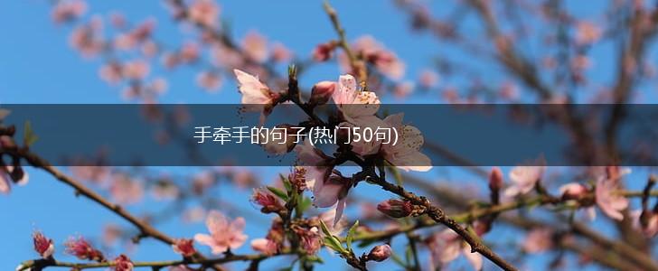 手牵手的句子(热门50句),第1张