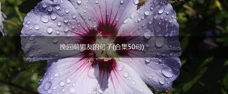 挽回前男友的句子(合集50句),第1张