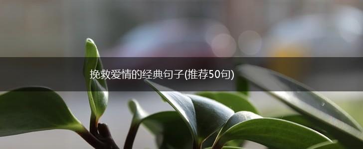挽救爱情的经典句子(推荐50句),第1张