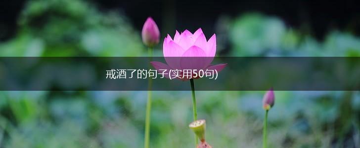 戒酒了的句子(实用50句),第1张