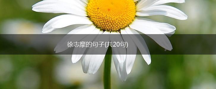 徐志摩的句子(共20句),第1张
