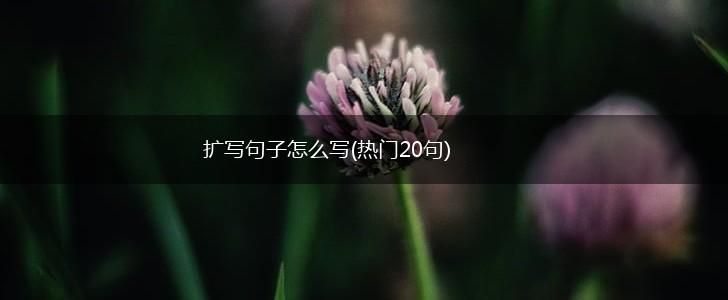 扩写句子怎么写(热门20句),第1张