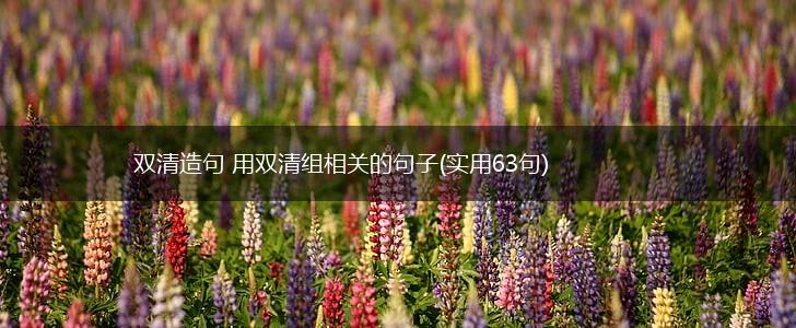 双清造句 用双清组相关的句子(实用63句),第1张