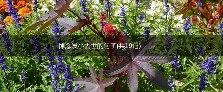 悼念发小去世的句子(共19句),第1张