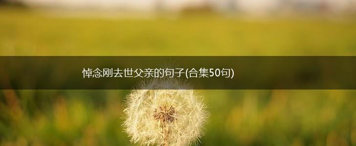 悼念刚去世父亲的句子(合集50句),第1张