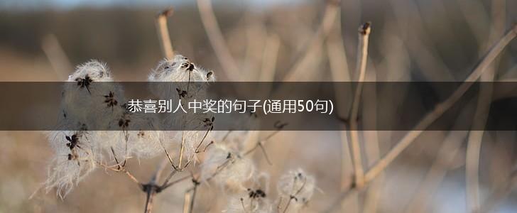 恭喜别人中奖的句子(通用50句),第1张