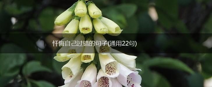 忏悔自己过错的句子(通用22句),第1张