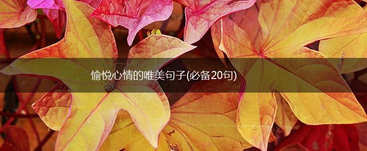 愉悦心情的唯美句子(必备20句),第1张