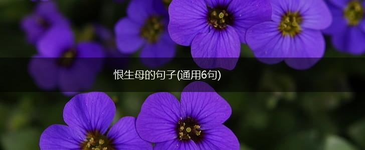 恨生母的句子(通用6句),第1张