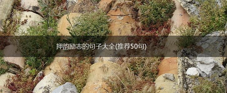 押韵励志的句子大全(推荐50句),第1张
