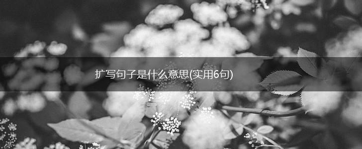 扩写句子是什么意思(实用6句),第1张