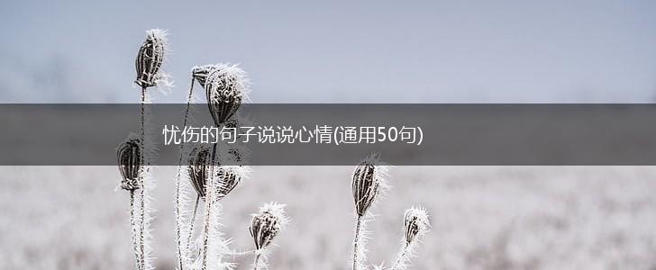 忧伤的句子说说心情(通用50句),第1张
