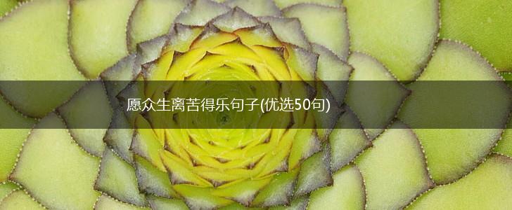愿众生离苦得乐句子(优选50句),第1张