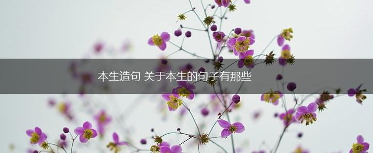 本生造句 关于本生的句子有那些,第1张