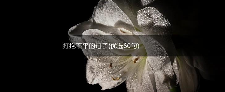 打抱不平的句子(优选60句),第1张