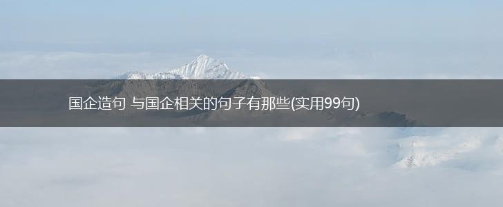 国企造句 与国企相关的句子有那些(实用99句),第1张