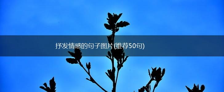 抒发情感的句子图片(推荐50句),第1张