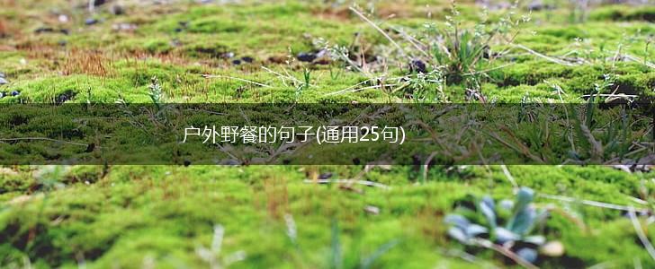 户外野餐的句子(通用25句),第1张