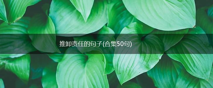 推卸责任的句子(合集50句),第1张