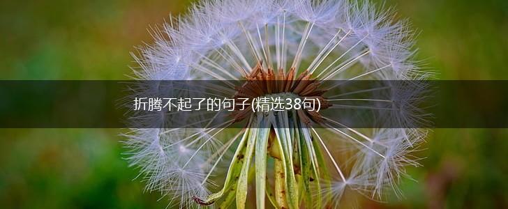 折腾不起了的句子(精选38句),第1张