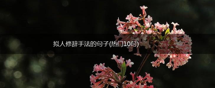 拟人修辞手法的句子(热门10句),第1张