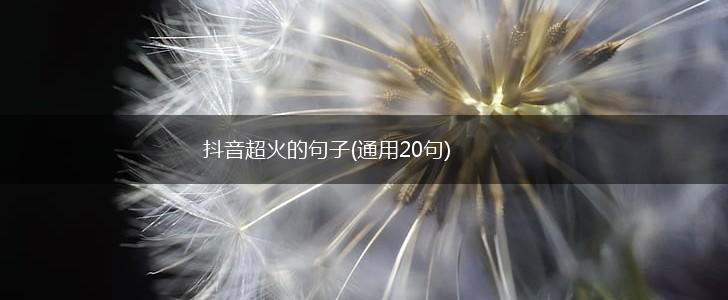 抖音超火的句子(通用20句),第1张