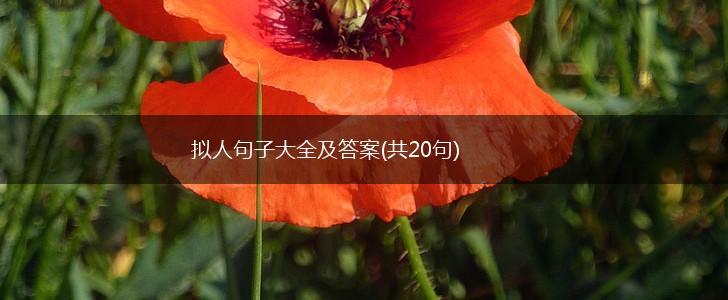 拟人句子大全及答案(共20句),第1张