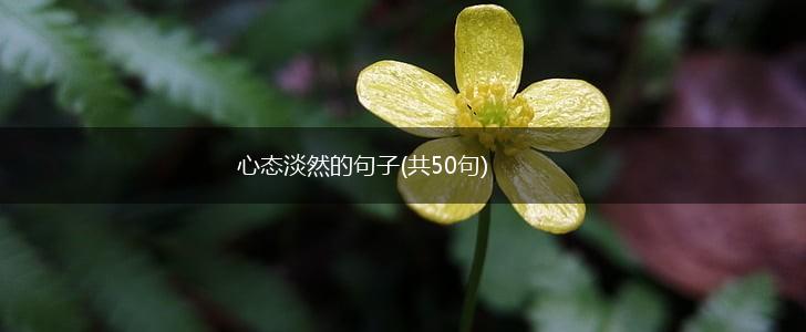 心态淡然的句子(共50句),第1张