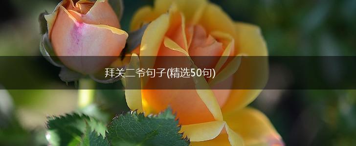 拜关二爷句子(精选50句),第1张
