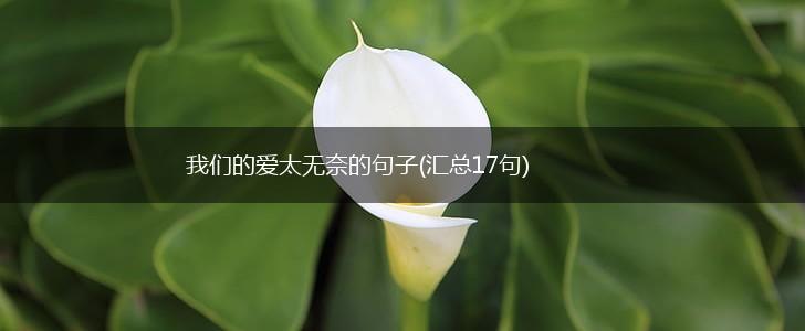 我们的爱太无奈的句子(汇总17句),第1张