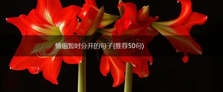 情侣暂时分开的句子(推荐50句),第1张