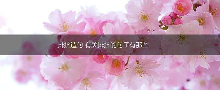 排挤造句 有关排挤的句子有那些,第1张