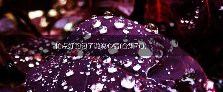 忙点好的句子说说心情(合集7句),第1张