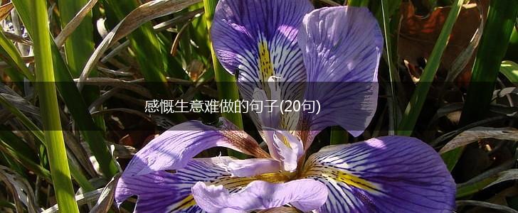 感慨生意难做的句子(20句),第1张