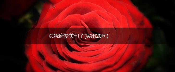 总统府赞美句子(实用20句),第1张