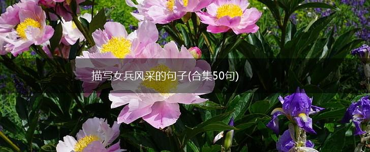 描写女兵风采的句子(合集50句),第1张