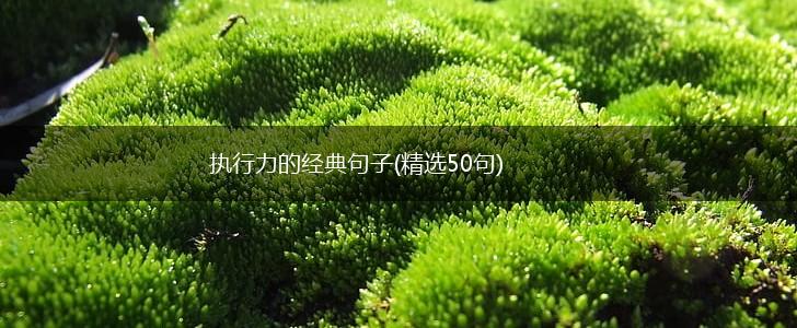 执行力的经典句子(精选50句),第1张
