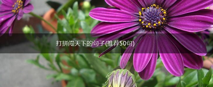 打拼闯天下的句子(推荐50句),第1张