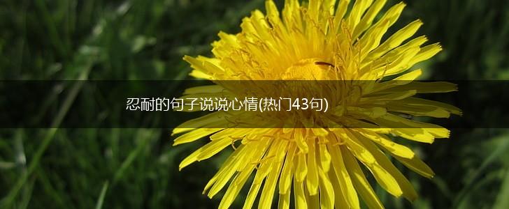 忍耐的句子说说心情(热门43句),第1张