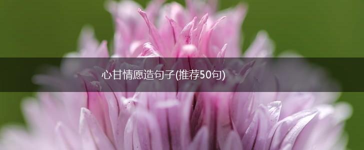 心甘情愿造句子(推荐50句),第1张