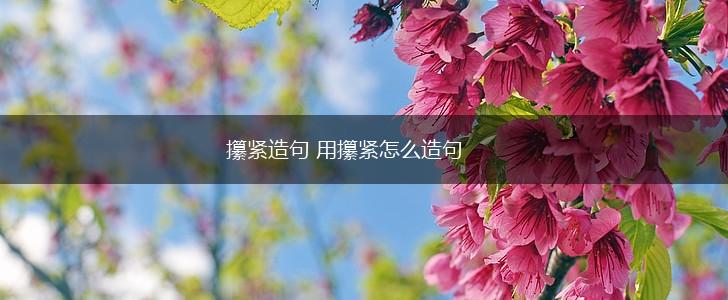攥紧造句 用攥紧怎么造句,第1张