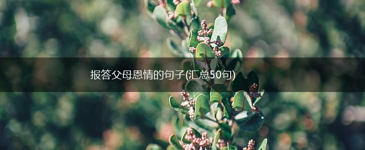 报答父母恩情的句子(汇总50句),第1张